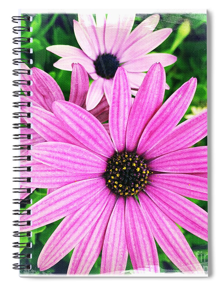 Eastern Purple Coneflower Spiral Notebook featuring the photograph Eastern Purple Coneflower by Nina Prommer