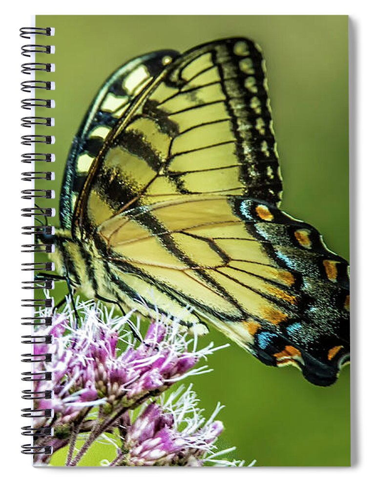 Butterfly Spiral Notebook featuring the photograph Eastern Tiger Swallowtail by Skip Tribby