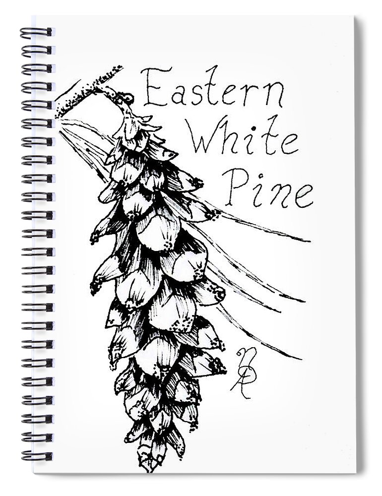 Pine Spiral Notebook featuring the drawing Eastern White Pine cone on a branch by Nicole Angell