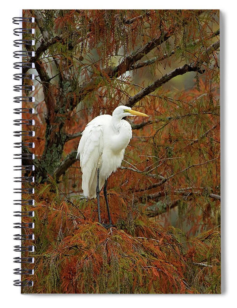 Egret Spiral Notebook featuring the photograph Egret in Autumn by Eilish Palmer