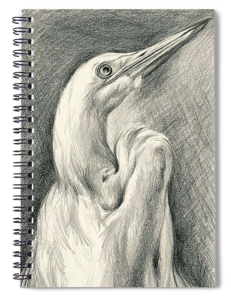 Bird Spiral Notebook featuring the drawing Egret Looking Heavenward by MM Anderson
