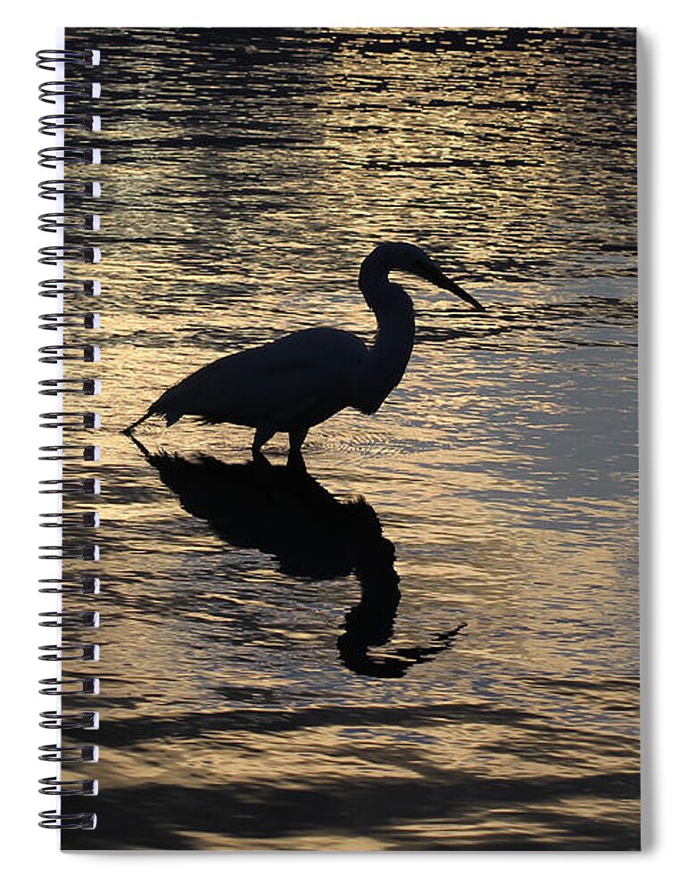 Egret Spiral Notebook featuring the photograph Egret Silhouette by Deborah Benoit