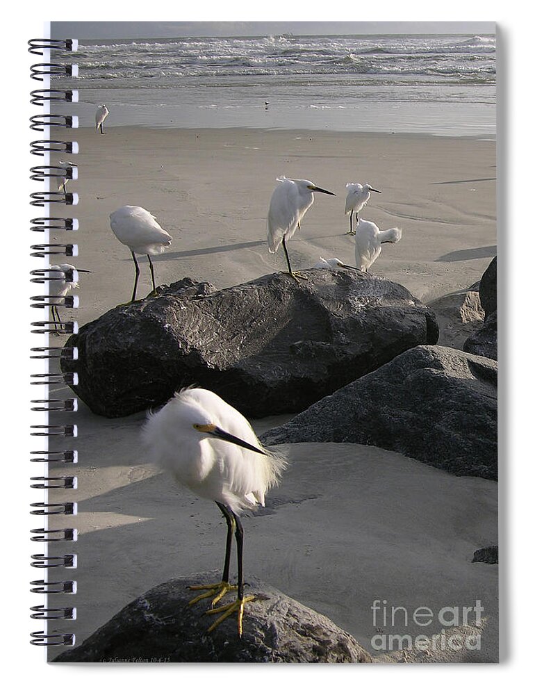 Photography Spiral Notebook featuring the photograph Egrets 10-6-15 by Julianne Felton