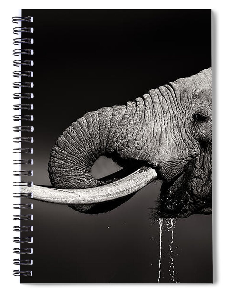 Elephant Spiral Notebook featuring the photograph Elephant bull drinking water - duetone by Johan Swanepoel