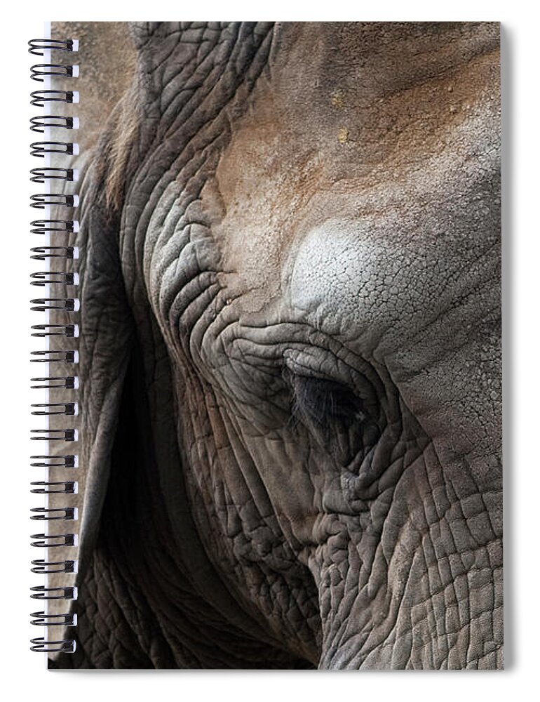 Elephant Spiral Notebook featuring the photograph Elephant Eye by Lorraine Devon Wilke