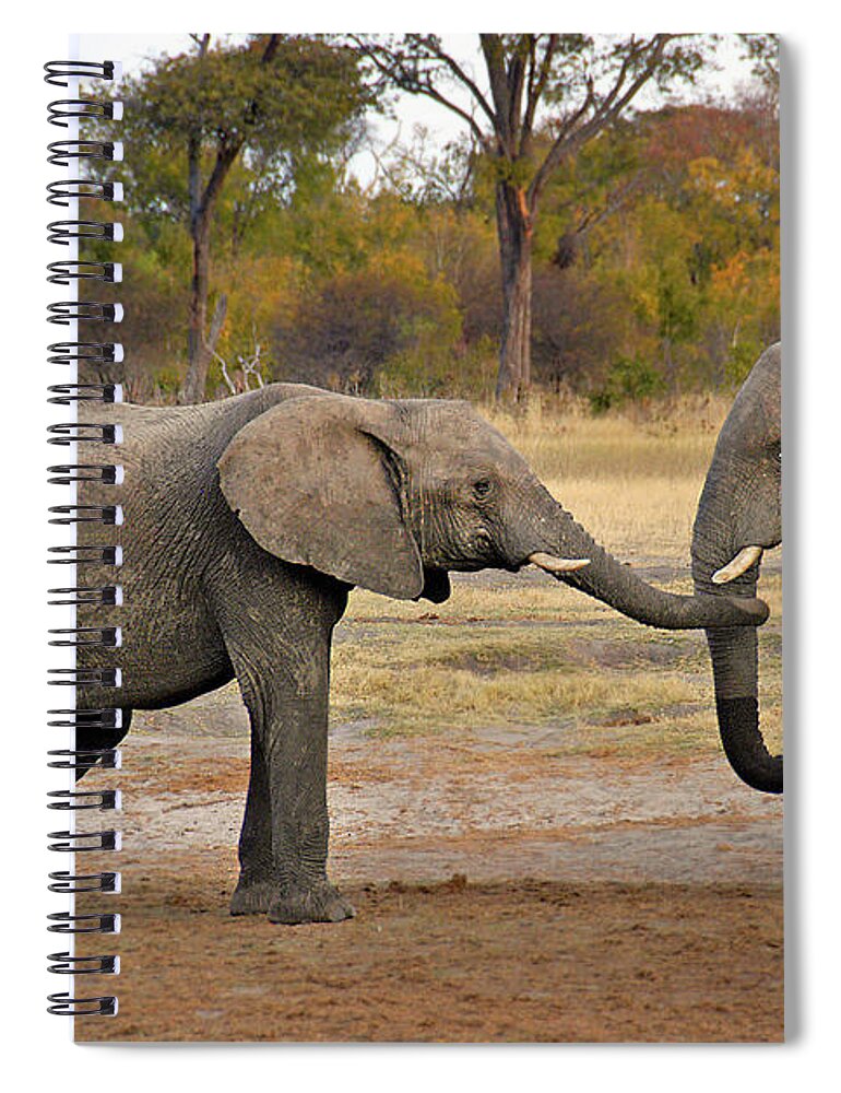 Elephant Spiral Notebook featuring the photograph Elephant Greeting by Ted Keller