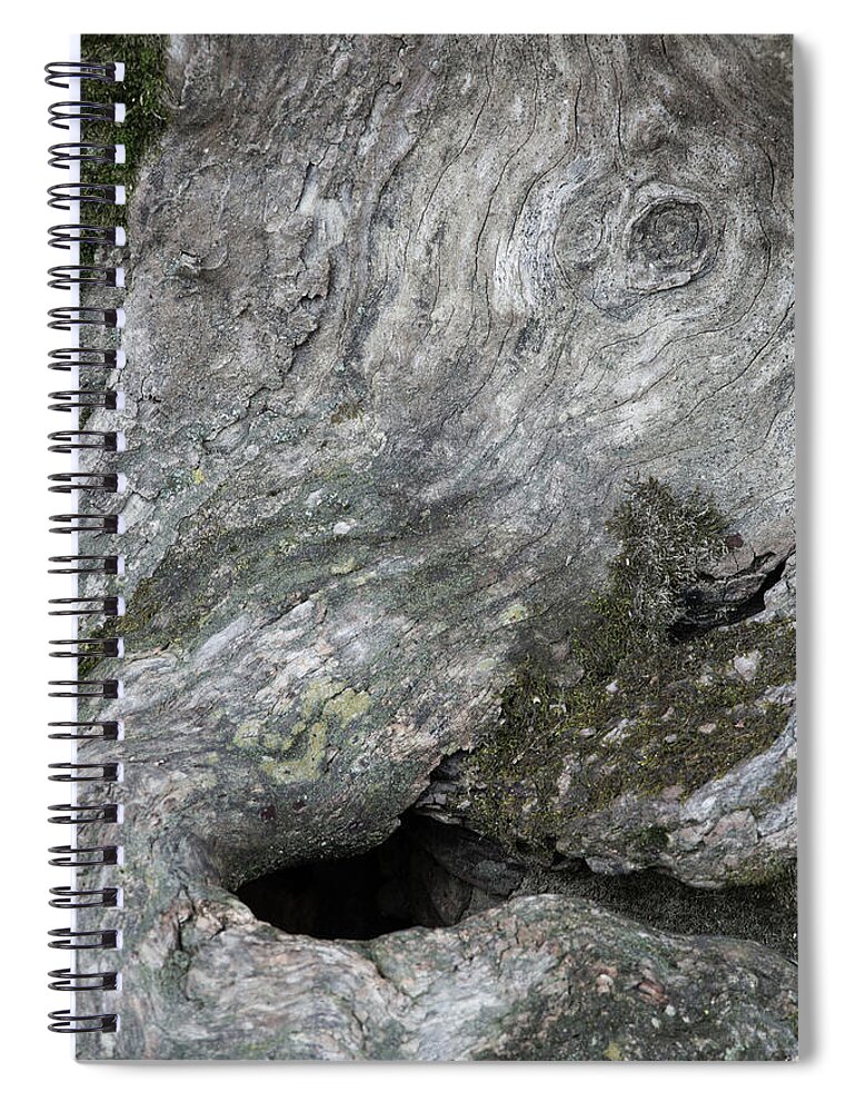 Elephant Trunk Spiral Notebook featuring the photograph Elephant Trunk by Dale Kincaid