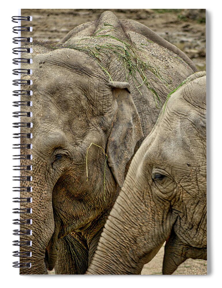 Wildlife Spiral Notebook featuring the photograph Elephants by Ingrid Dendievel