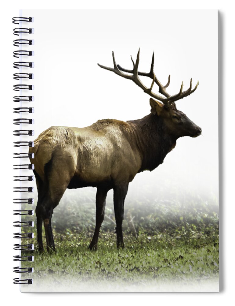 Elk Spiral Notebook featuring the photograph Elk III by Debra and Dave Vanderlaan