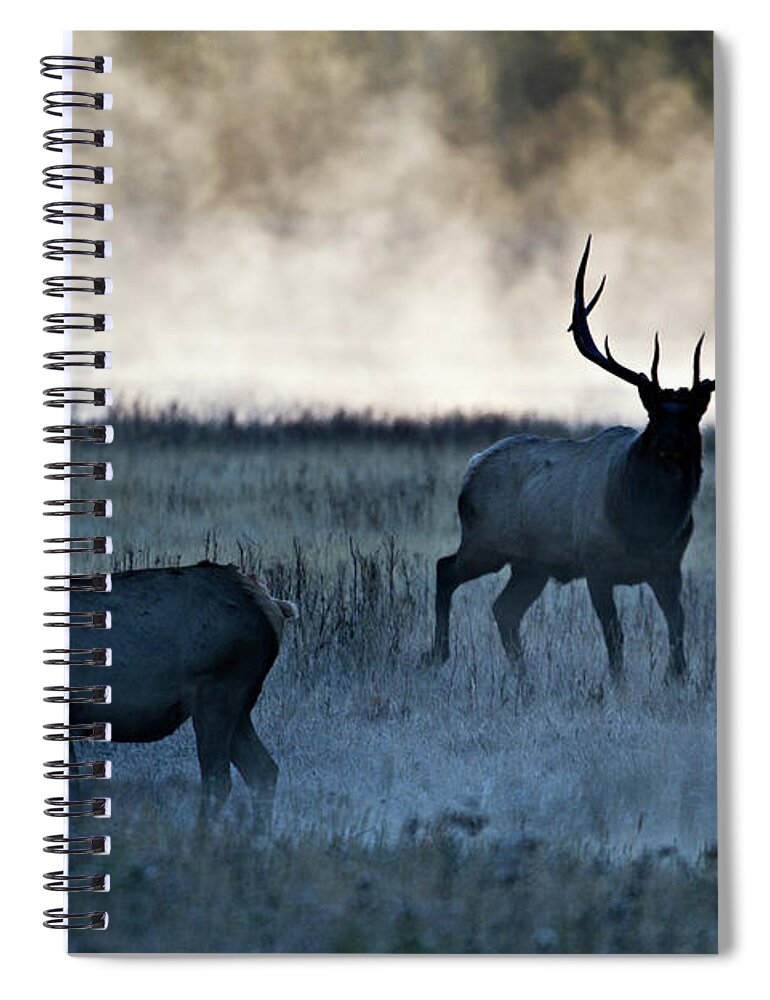 Elk Spiral Notebook featuring the photograph Elk in the Mist by Wesley Aston
