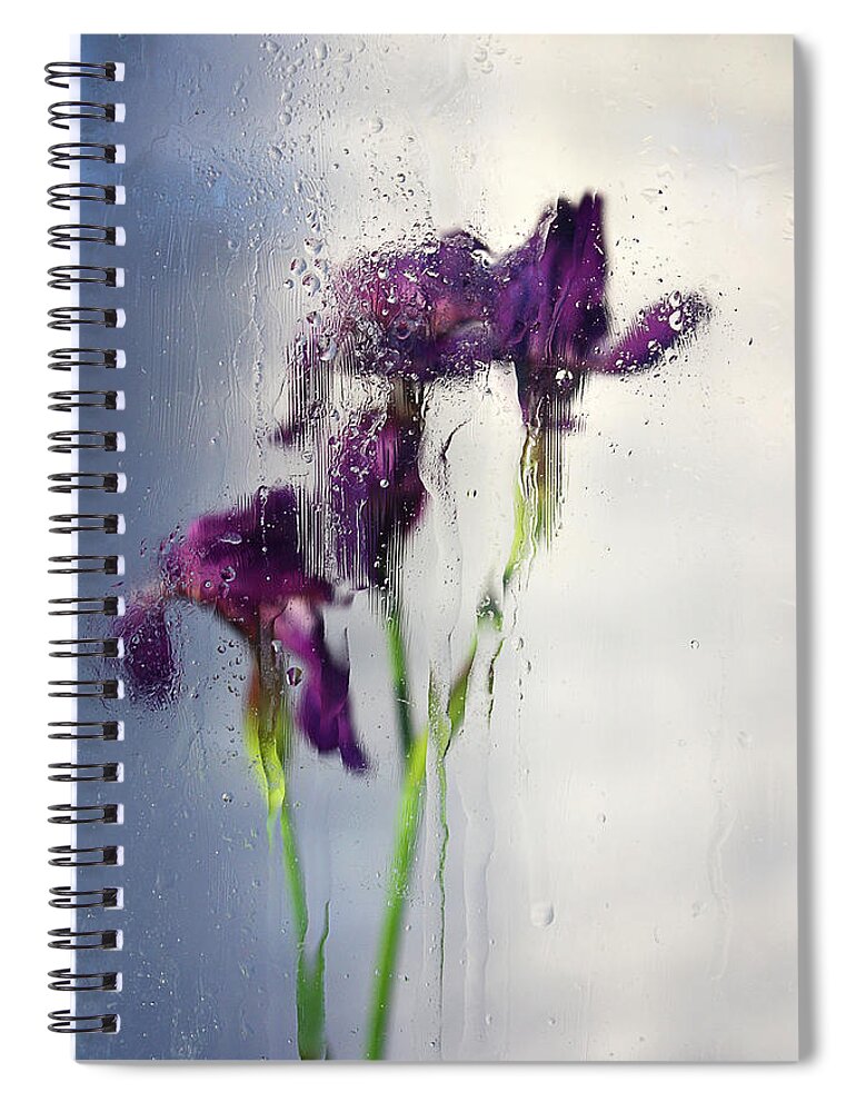 Iris Spiral Notebook featuring the photograph Elusive Dreams by Victor Kovchin