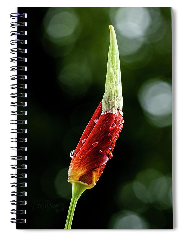 Alaska Spiral Notebook featuring the photograph Emerging by Fred Denner