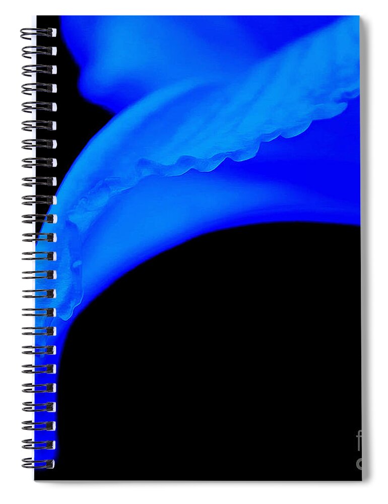 Lily Spiral Notebook featuring the photograph Emotion In Blue by Krissy Katsimbras