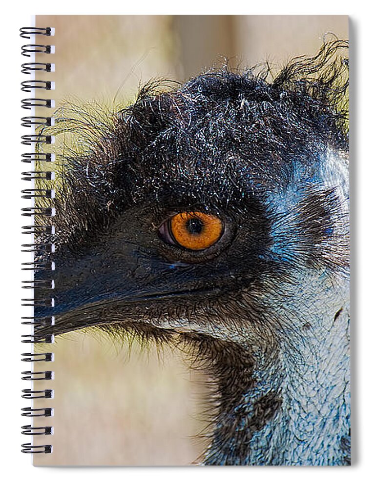 Emu Spiral Notebook featuring the photograph Emu by Kenneth Albin