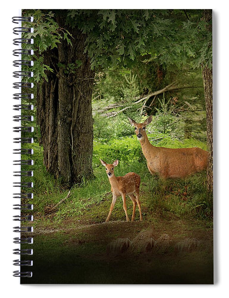 Deer Print Spiral Notebook featuring the photograph Enchanted Forest Deer Print by Gwen Gibson