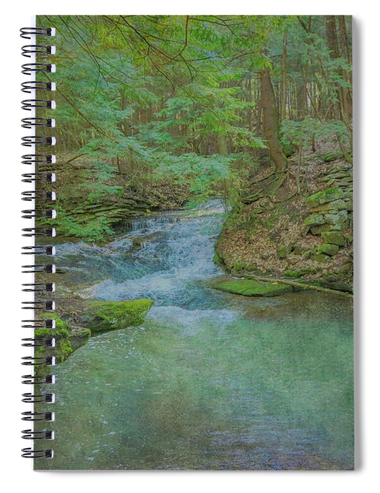Enchanted Forest One Spiral Notebook featuring the digital art Enchanted Forest One by Randy Steele