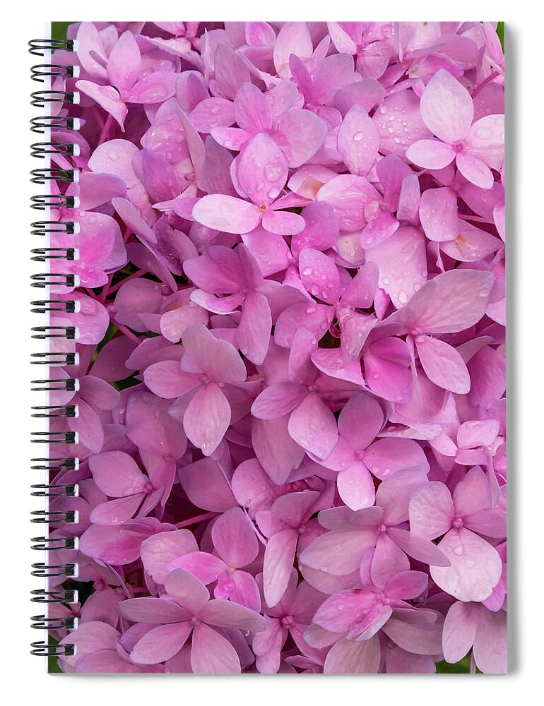 5dmkiv Spiral Notebook featuring the photograph Endless Summer by Mark Mille