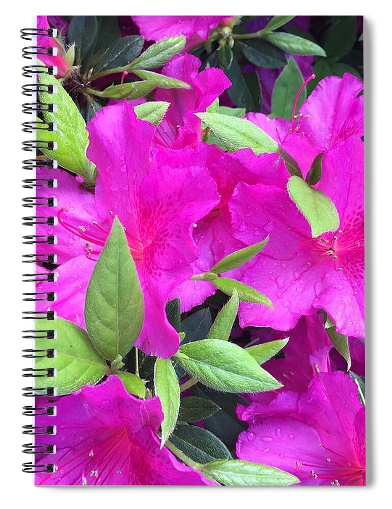 Flowers Spiral Notebook featuring the photograph Easter Color by Matthew Seufer