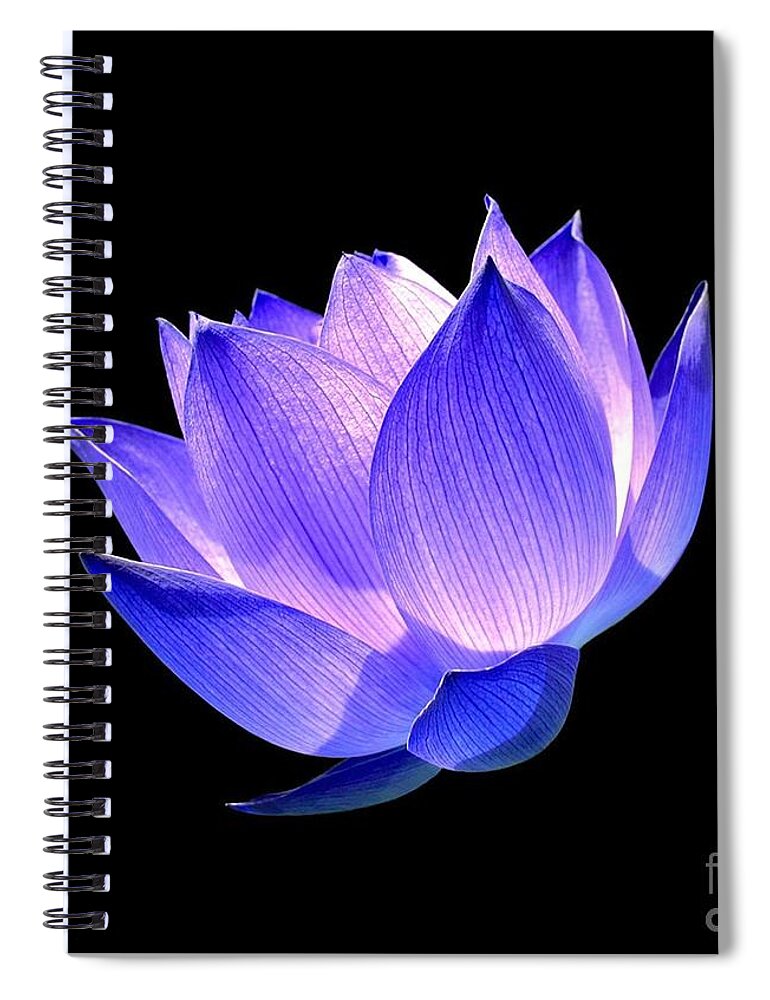 Flower Spiral Notebook featuring the photograph Enlightened by Jacky Gerritsen