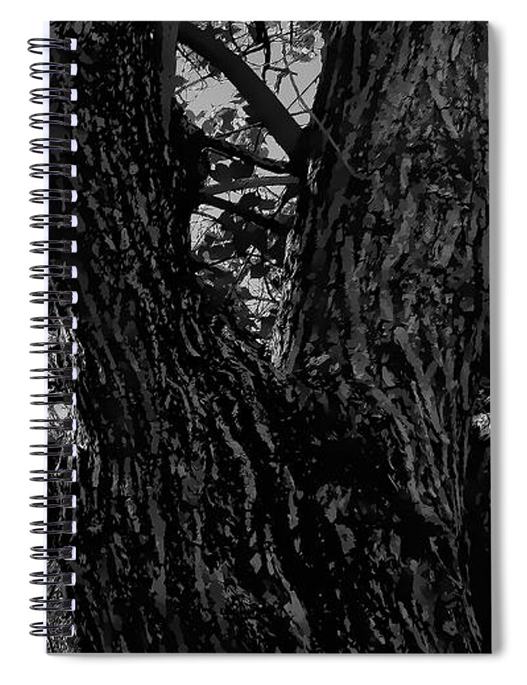 Woods Spiral Notebook featuring the photograph Enter The Woods In Black and White by Kristalin Davis by Kristalin Davis