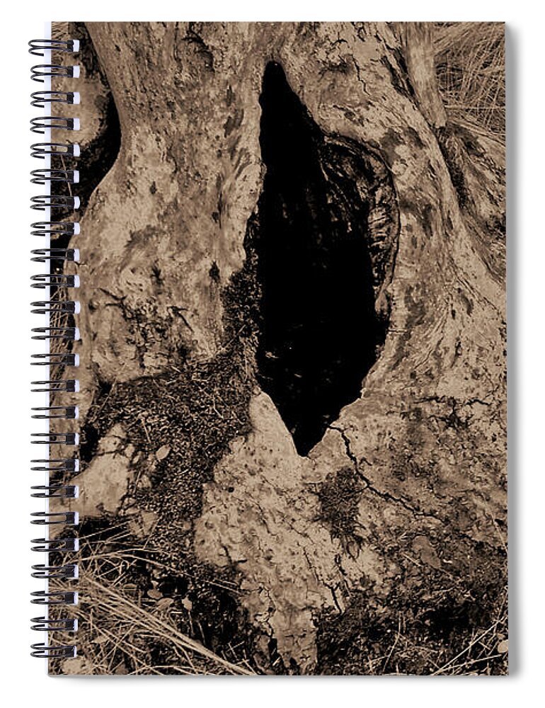 Farmboyzim Spiral Notebook featuring the photograph Entrance to... by Harold Zimmer