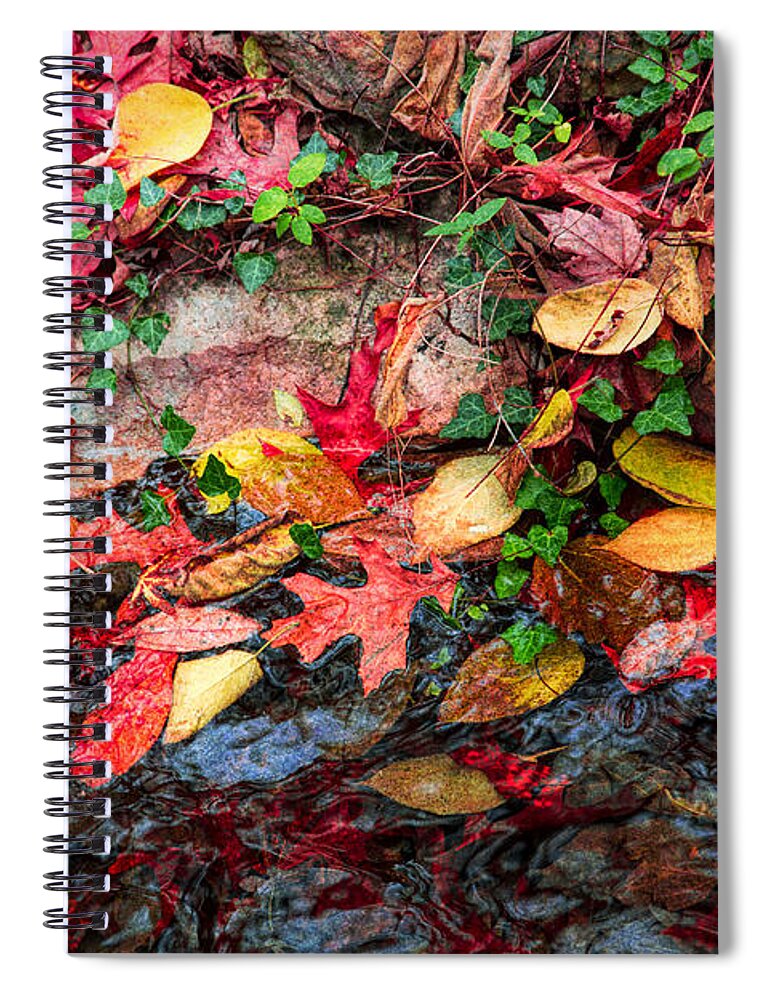 Fall Spiral Notebook featuring the photograph Fallen Leaves by Lynn Sprowl