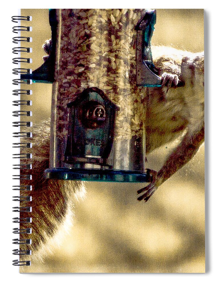 Bird Feeder Spiral Notebook featuring the photograph Equal Access by William Norton