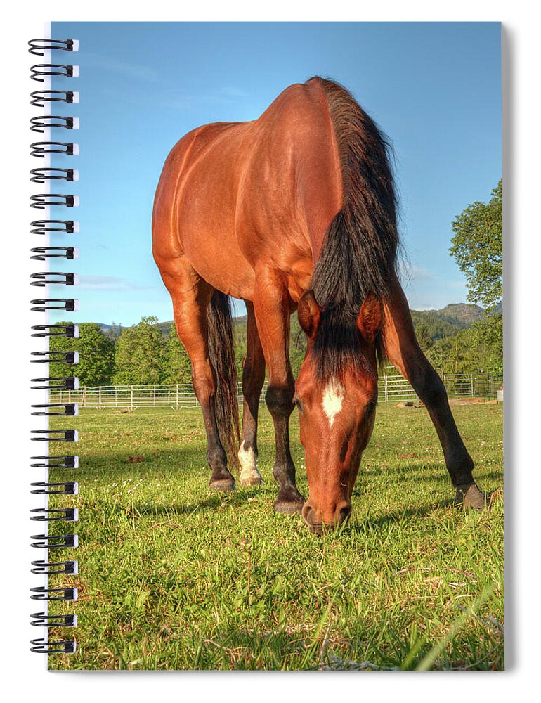Equine Spiral Notebook featuring the photograph Equine Beauty 0069 by Kristina Rinell
