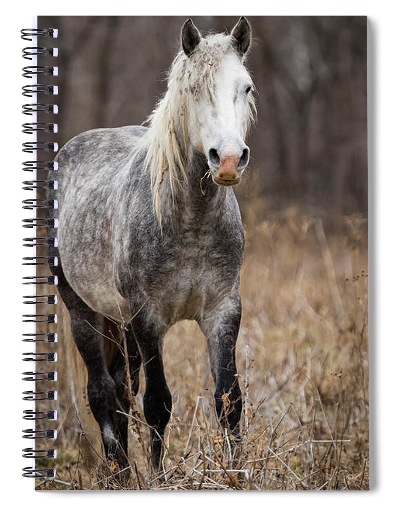 Horse Spiral Notebook featuring the photograph Escape by Holly Ross