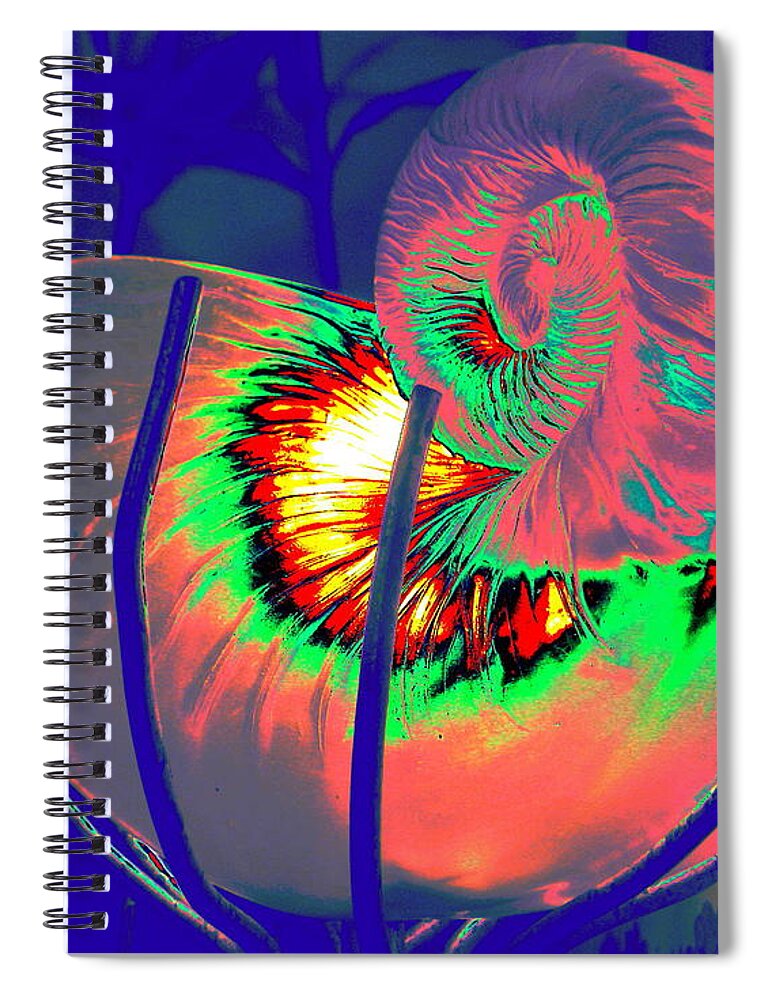 Shell Spiral Notebook featuring the photograph Escargrotesque by Larry Beat