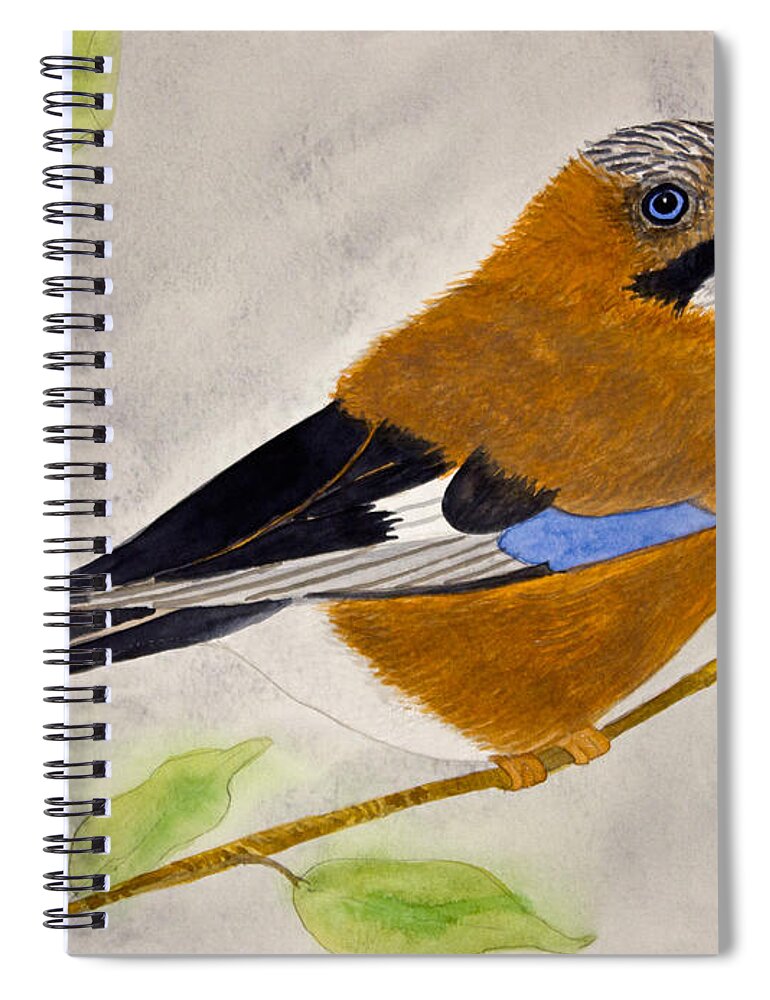 Eurasian Waxwing Spiral Notebook featuring the painting Eurasian Waxwing by Norma Appleton