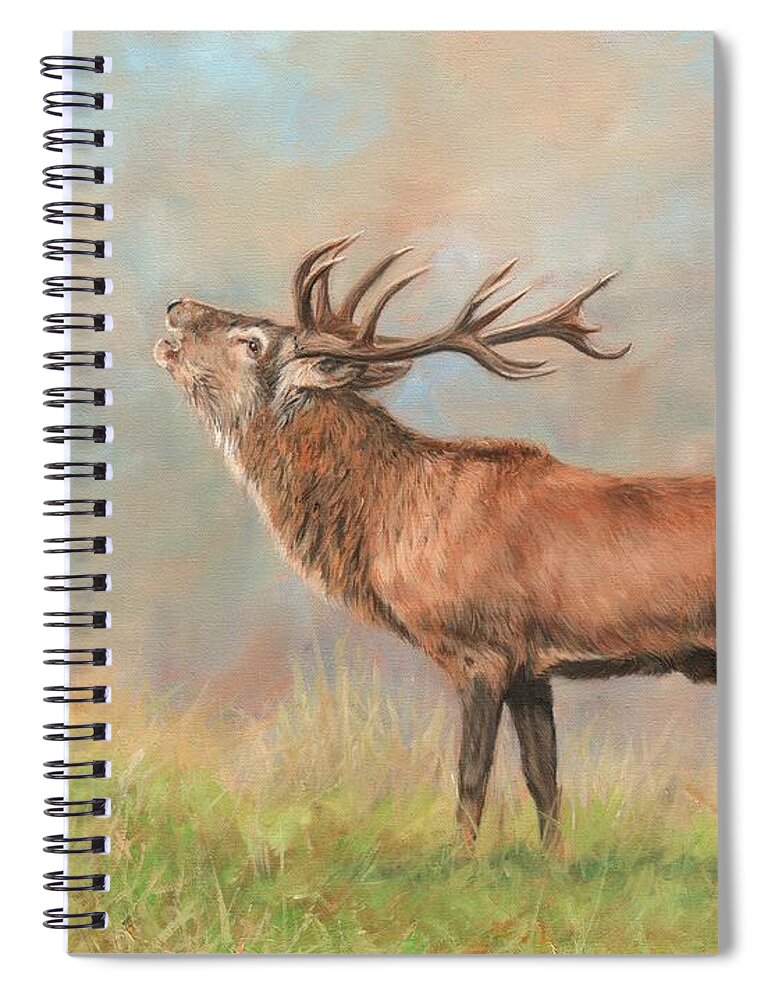 Red Deer Spiral Notebook featuring the painting European Red Deer by David Stribbling