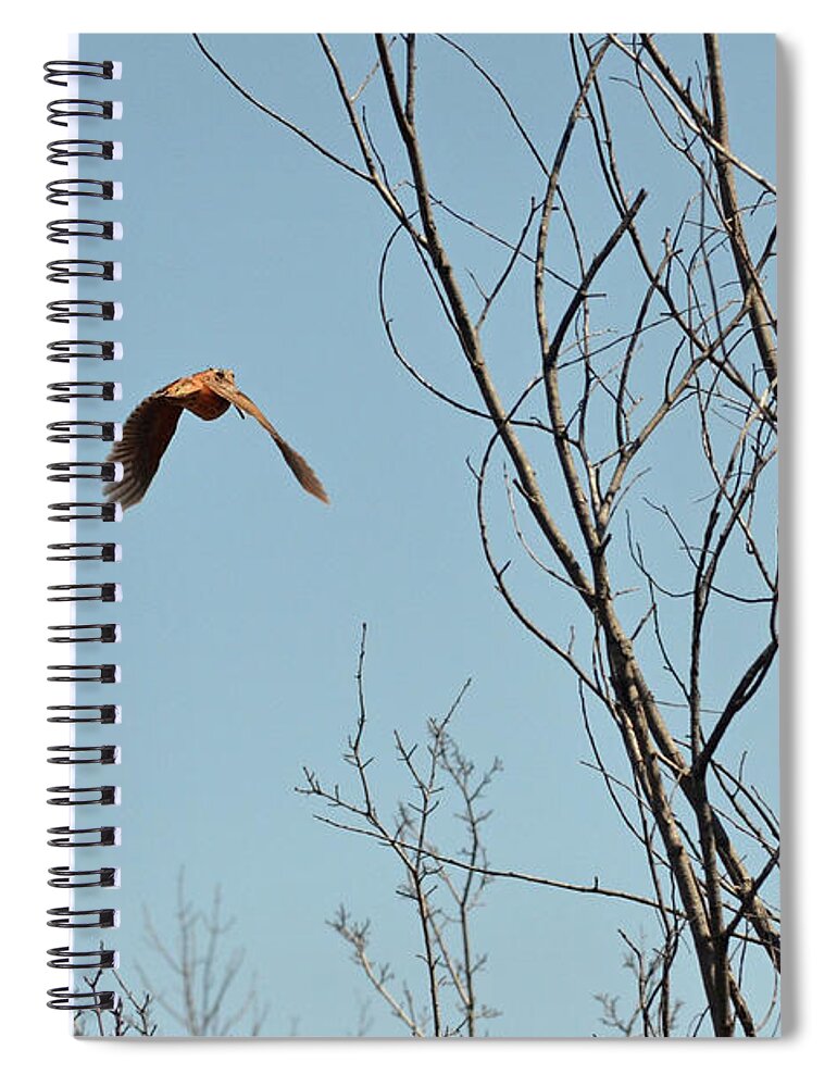 American Woodcock Spiral Notebook featuring the photograph Evanescent queen of upland birds by Asbed Iskedjian