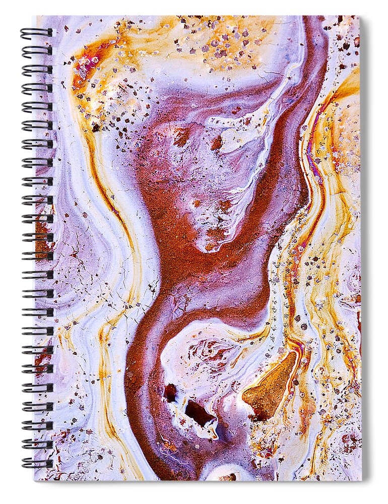 Abstract Spiral Notebook featuring the photograph Eve by Linda McRae