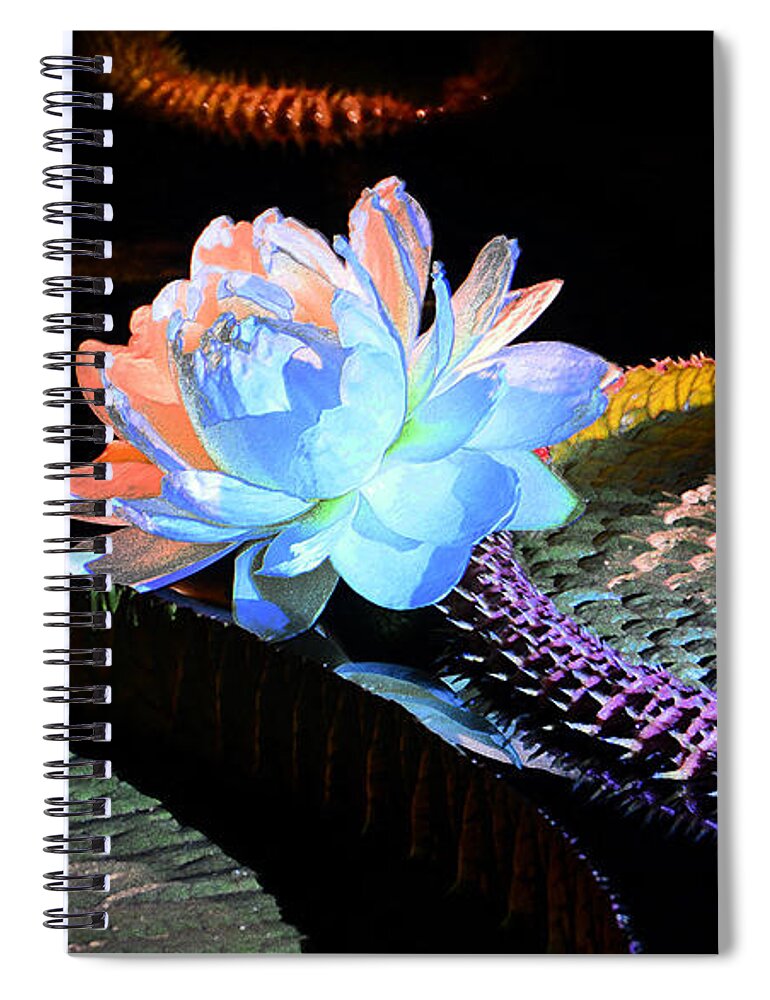 Flowers Spiral Notebook featuring the photograph Evening Splendor by Cindy Manero
