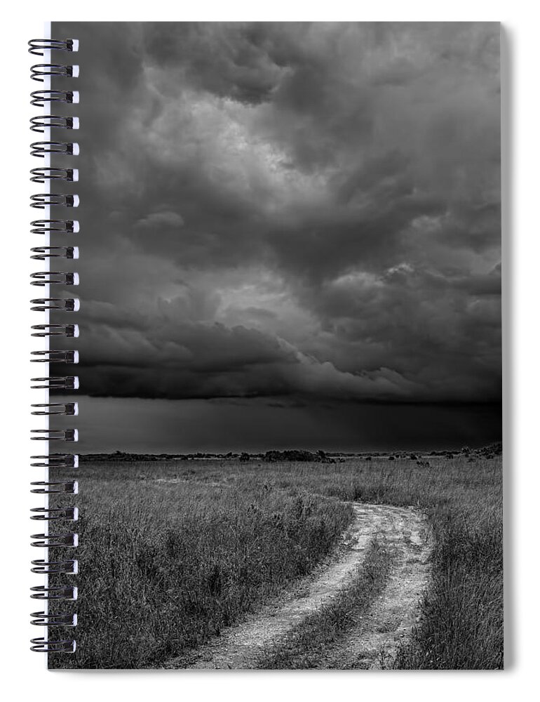 Beautiful Spiral Notebook featuring the photograph Everglades 2425 by Rudy Umans