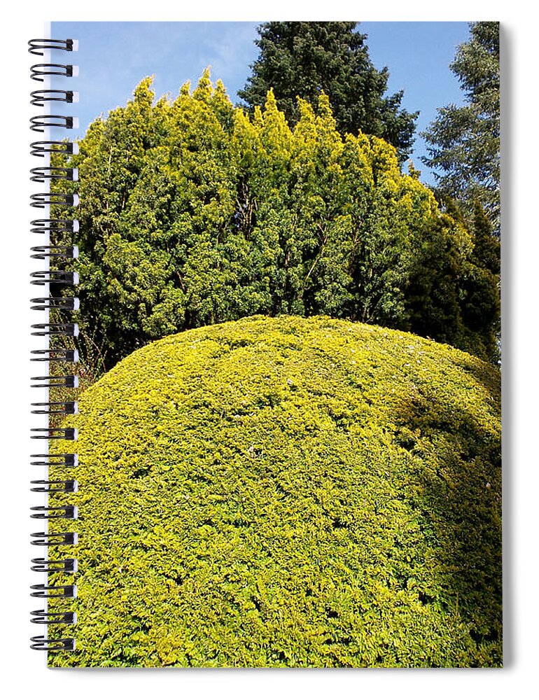 Photography Spiral Notebook featuring the photograph Evergreen tops by Francesca Mackenney