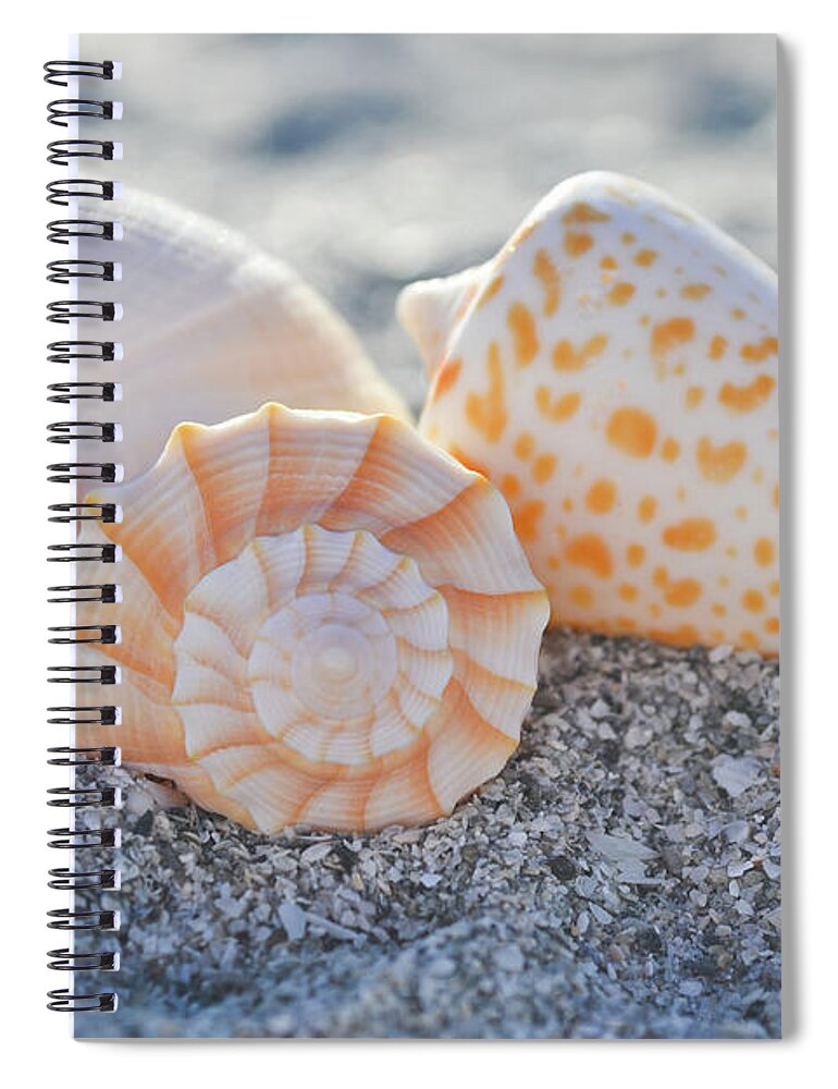 Sanibel Spiral Notebook featuring the photograph Every Shell Has A Story by Melanie Moraga