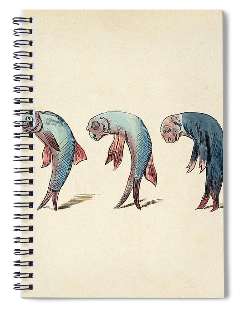 Evolution Of Fish Into Old Man, C. 1870 Spiral Notebook