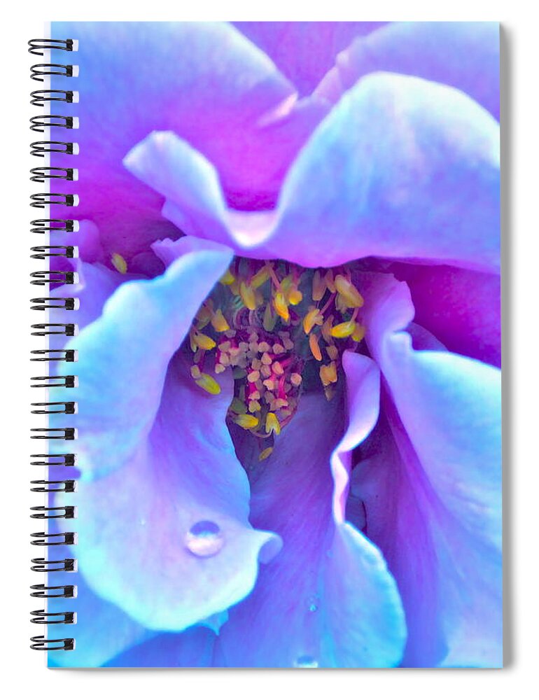 Photograph Of Rose Spiral Notebook featuring the photograph Exotic Dancer by Gwyn Newcombe