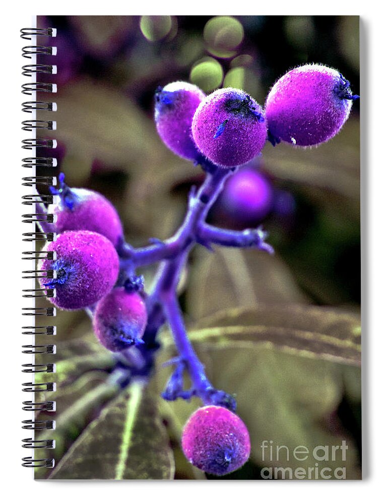 Exotic Fruits Spiral Notebook featuring the photograph Exotic Purple Fruits by Silva Wischeropp
