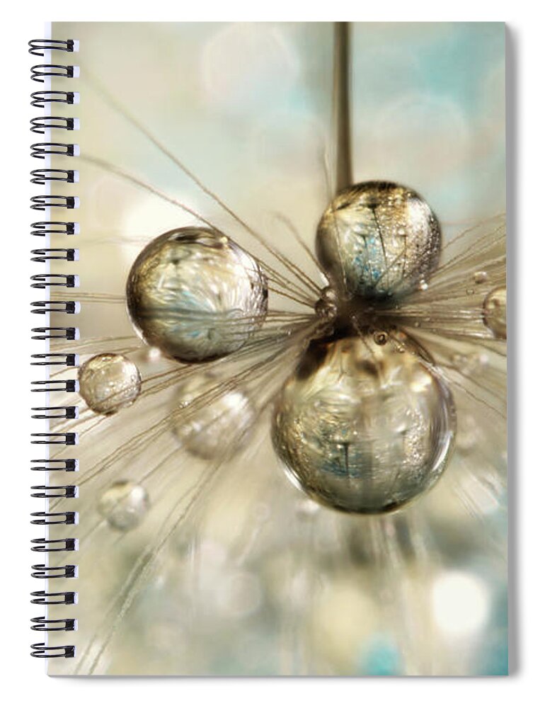 Dandelion Spiral Notebook featuring the photograph Exploding Dandy Drops by Sharon Johnstone