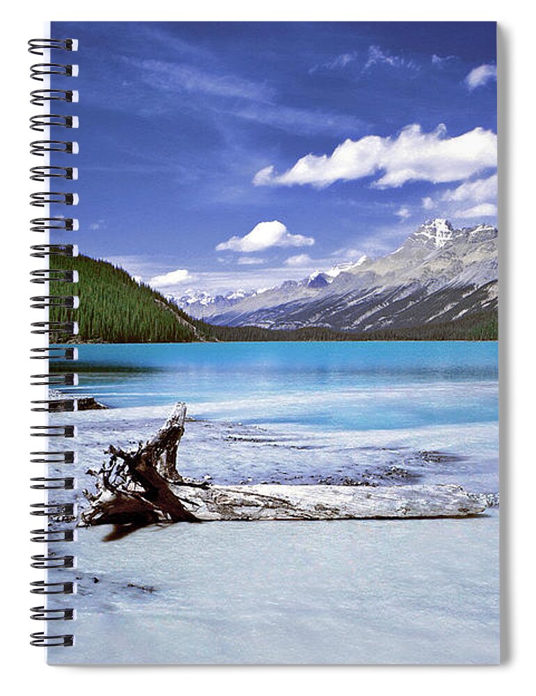 Landscapes Spiral Notebook featuring the photograph Exterior Decorations by The Walkers