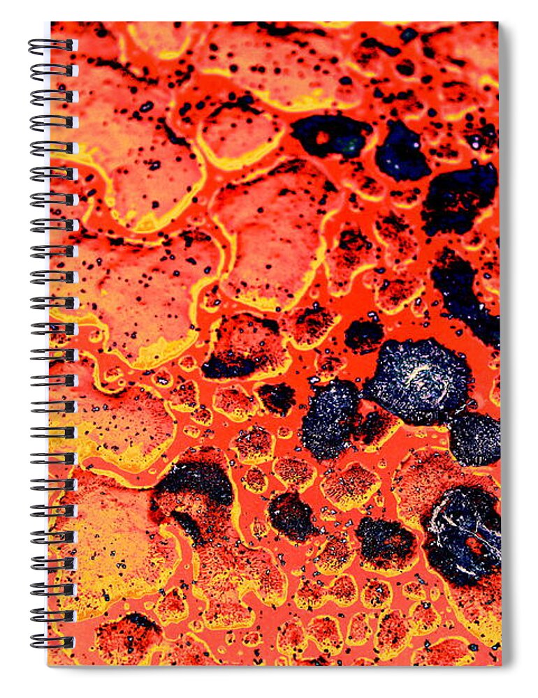 Lava Spiral Notebook featuring the photograph Extrinsic by Brook Steed