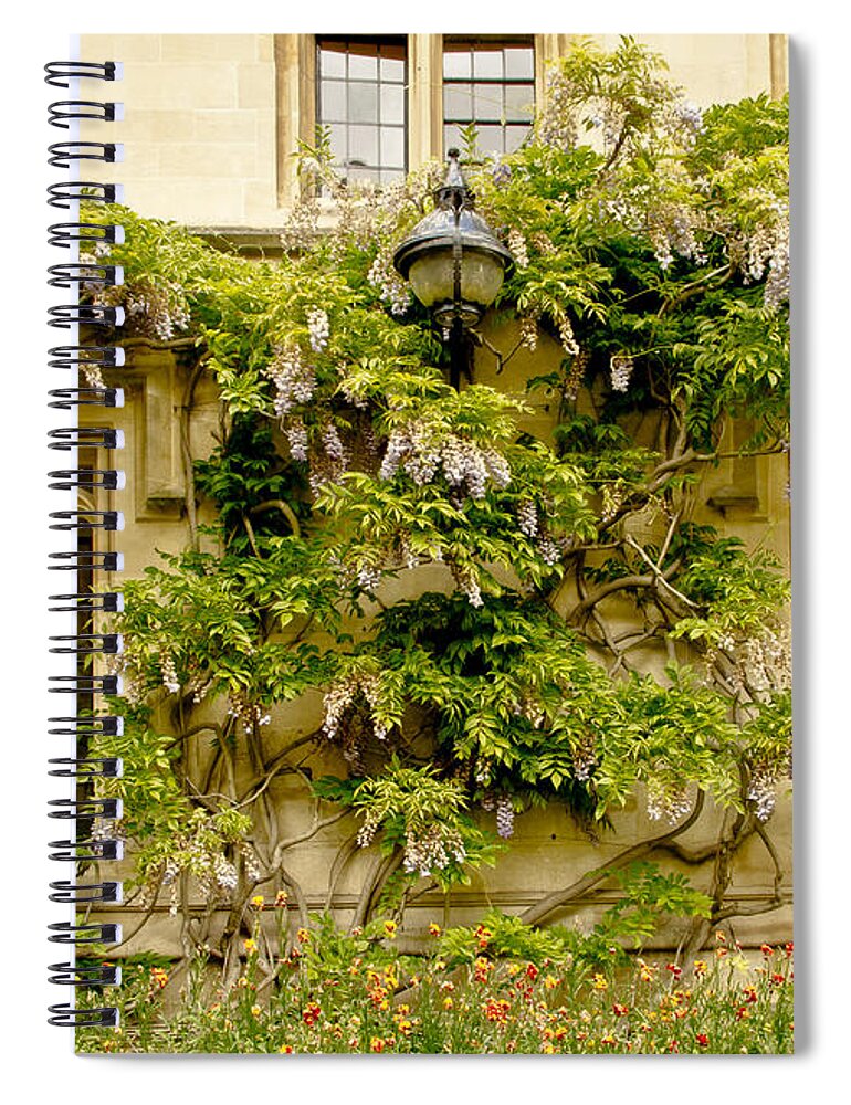 Wall. Flowered Wall Spiral Notebook featuring the photograph Eye-catching Wall by Elena Perelman