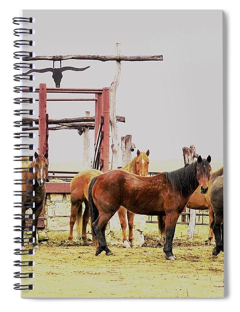 Horses Spiral Notebook featuring the photograph Eyes on Me by Merle Grenz