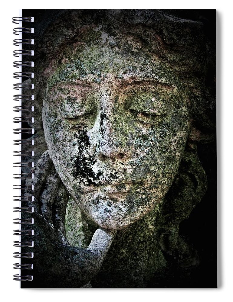 Angel Spiral Notebook featuring the photograph Face of an Angel 11 by Maria Huntley