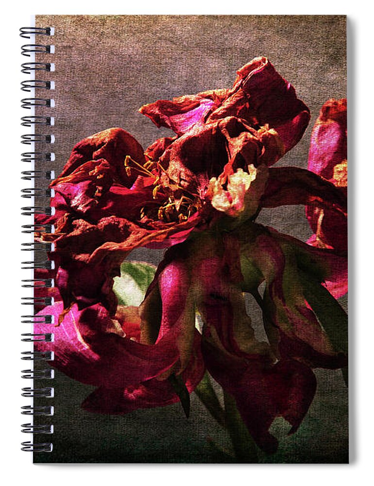 Red Spiral Notebook featuring the photograph Fading Glory by Randi Grace Nilsberg