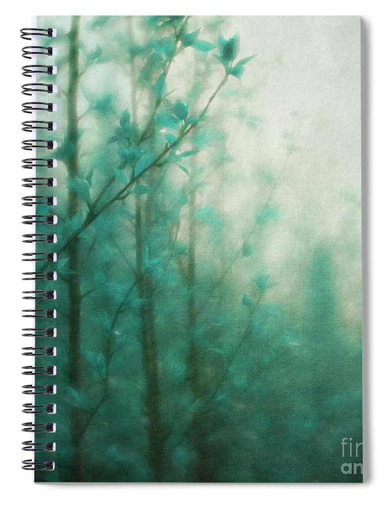 Blue Spiral Notebook featuring the photograph In the deep forest 2 by Priska Wettstein