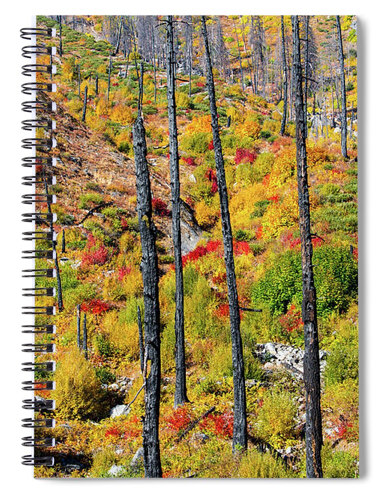 Landscape Spiral Notebook featuring the photograph Fall color -after wild fire by Hisao Mogi